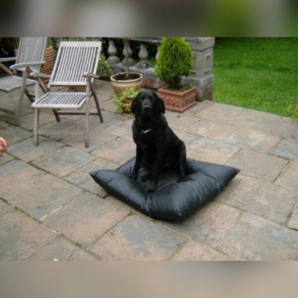 Massive Floor Cushion 36 x 36 inches Filler only - Image 3