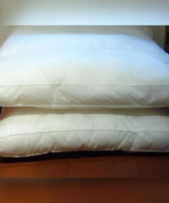 Scatter Cushion 36 x 36 inches