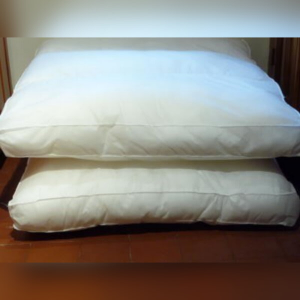 Scatter Cushion 36 x 36 inches
