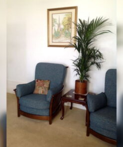 Ercol Renaissance Cushions plus Piccola