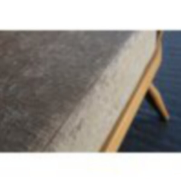 Ercol Daybed 355 in a Christina Marrone Fabric