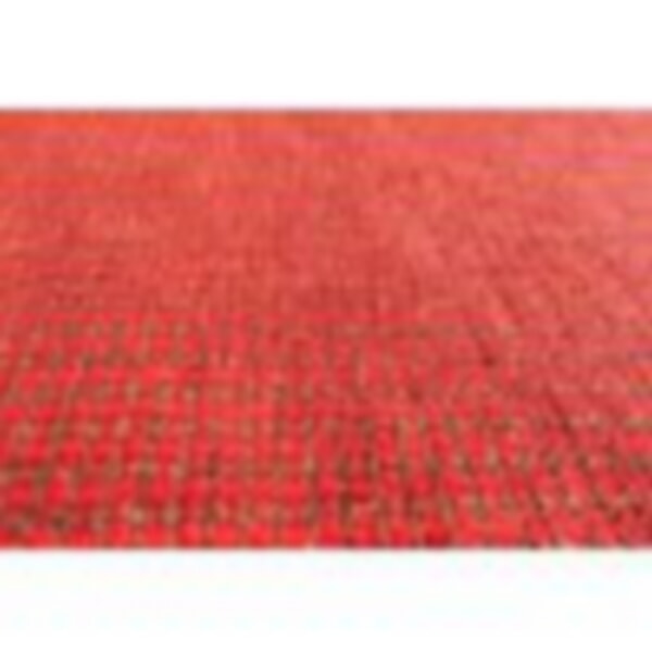 Our very own Galgate Red