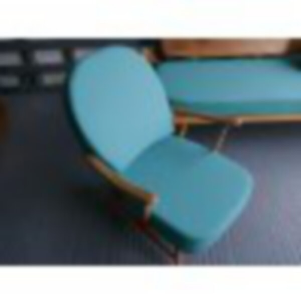 Camira Zap Whirr
