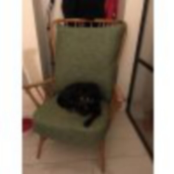Next Chartreuse Fabric beuatifully sat on by Echo