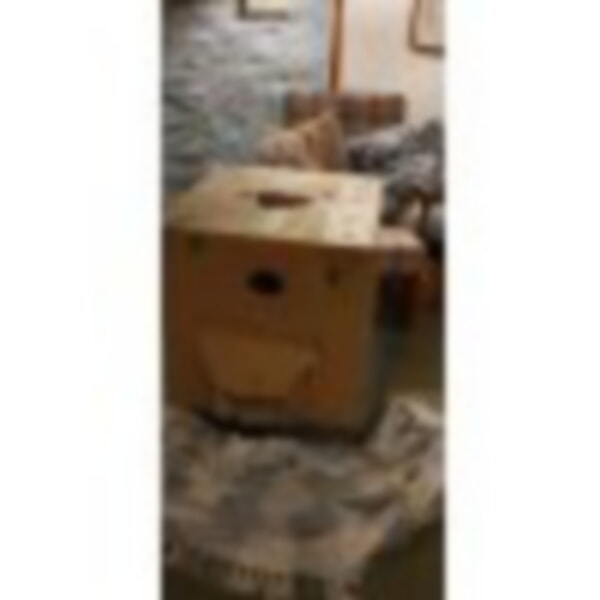 Patrick's grandaughter made a playhouse out of the delivery box. Resourceful chaild!