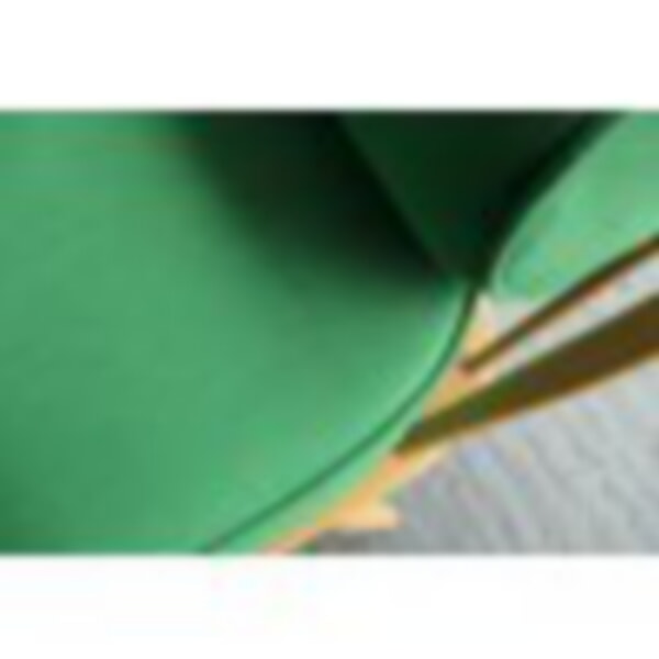 Customer's own fabric. Vivid Green