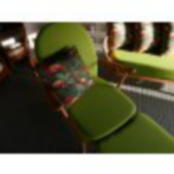 This Trader Limetime Fabric, see it under Daybed