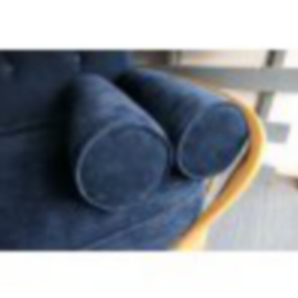 A very special fabric from Ross Fabrics
