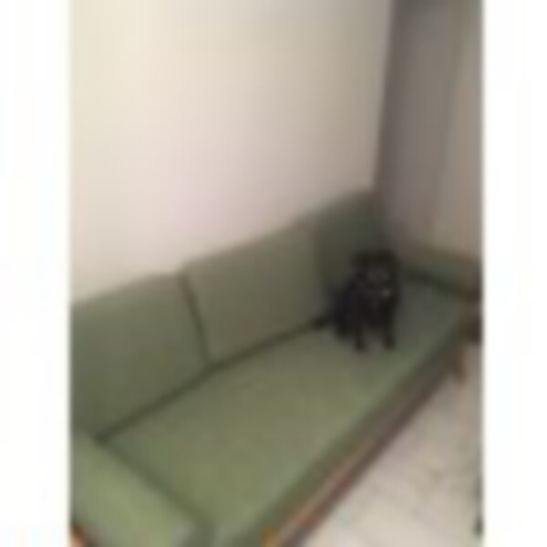 Daybed with bolsters and Echo