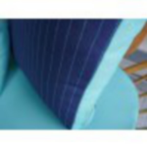 Camira Zap Whirr